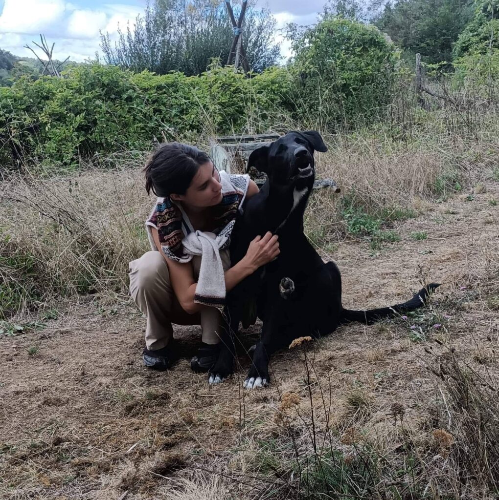 118651853 2706717122880050 1653645146613085676 n