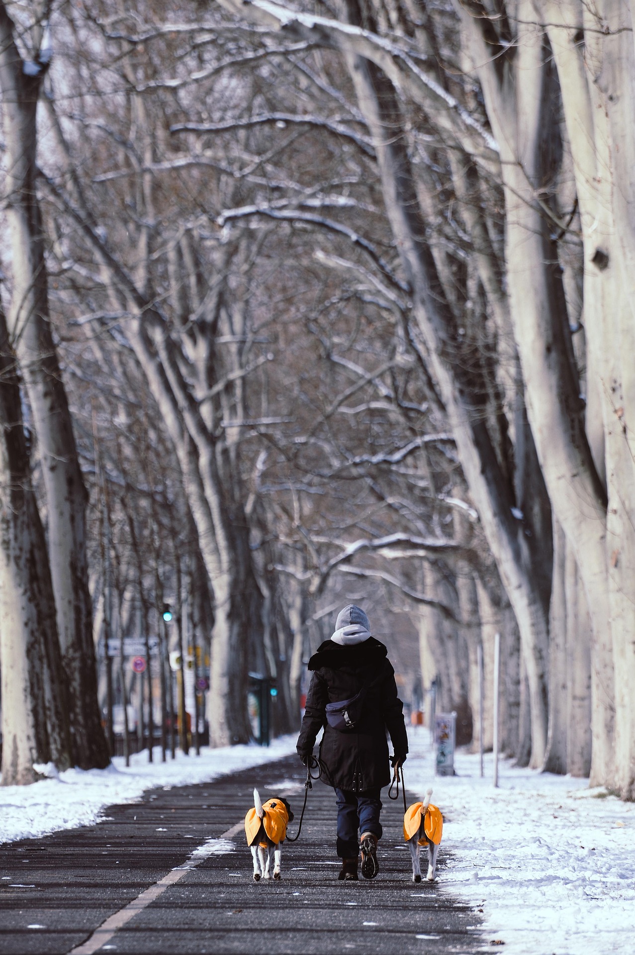 wal 172619 winter 6712749 1920